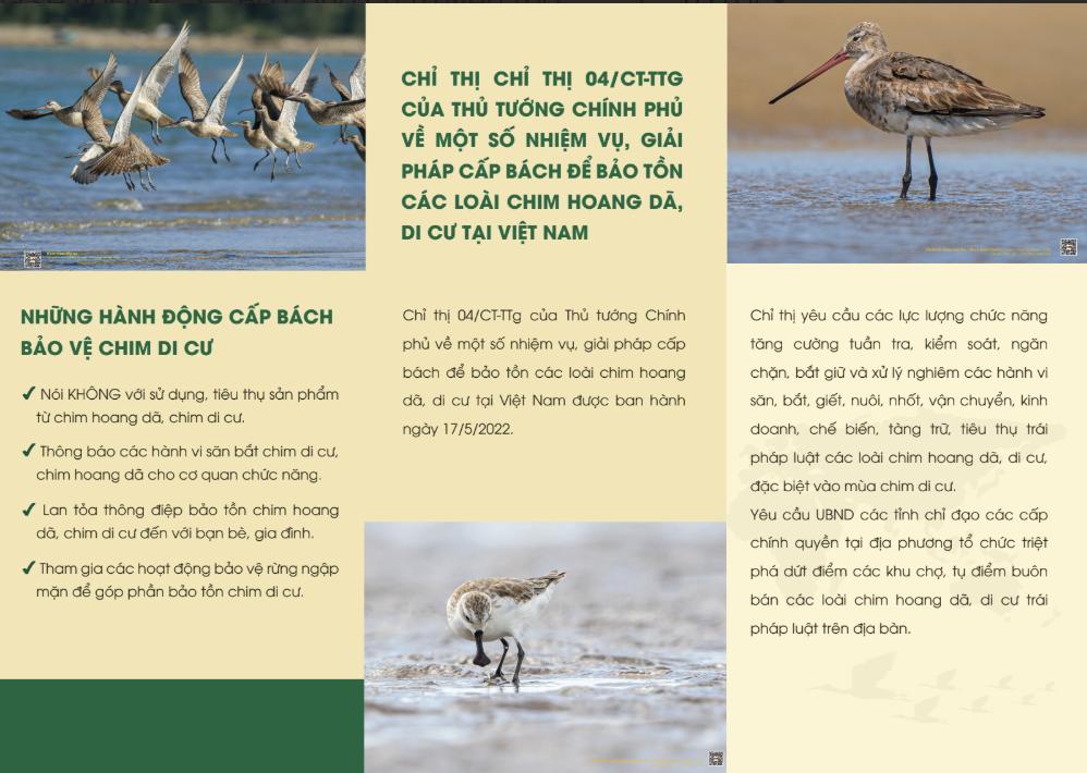 z7287367650541_d794774a2517ab2b7c77ae60a4f327e3