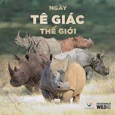 Ngày Tê Giác thế giới - 5 loài Tê Giác trên thế giới
